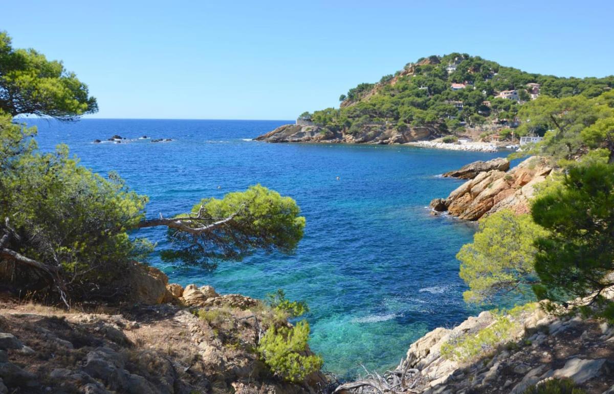 Appartamento Un Nid A Tropez
